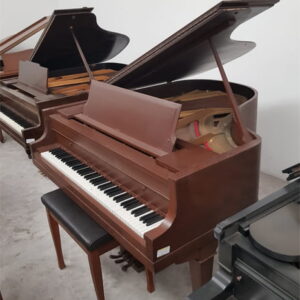 Piano Eileen 1 de Cola en venta - Su Majestad del Piano
