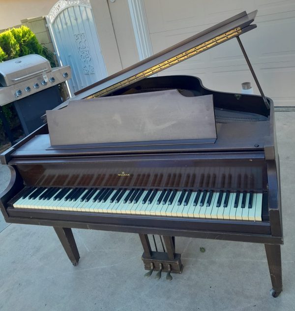 Piano Wegman Cuarto Cola - vista lateral