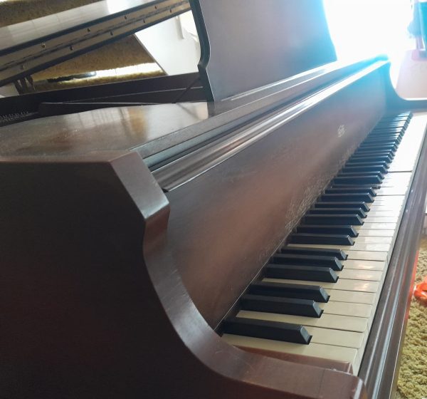 Piano Merriam Octavo Cola - vista lateral
