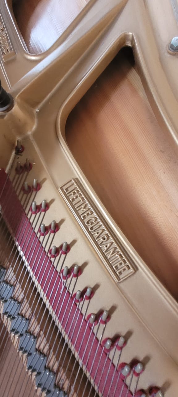 Piano Schafer Sons S-53 de Cola - imagen 7