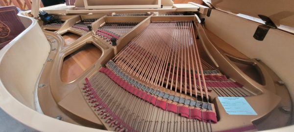 Piano Schafer Sons S-53 de Cola - imagen 5