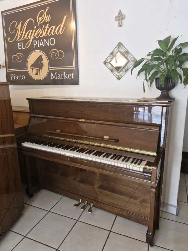 Piano Rosenthal - detalle del teclado