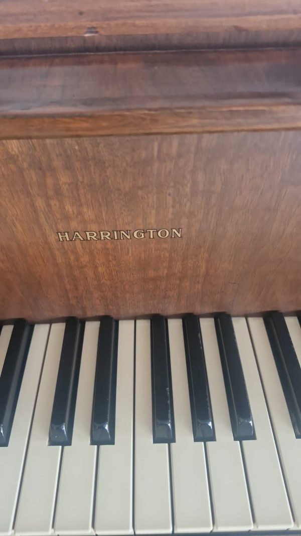 Piano Harrington 1/4 de Cola - imagen 7