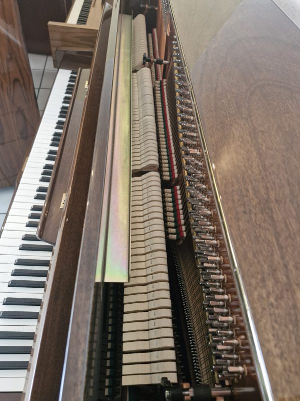 Piano Rosenthal - vista lateral