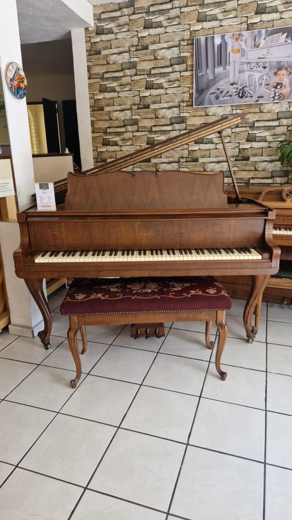 Piano Harrington - vista lateral