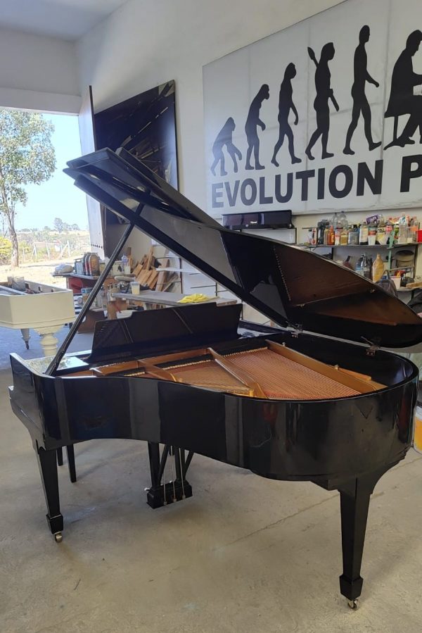 Piano Steinway Sons Modelo B de Cola - imagen 8