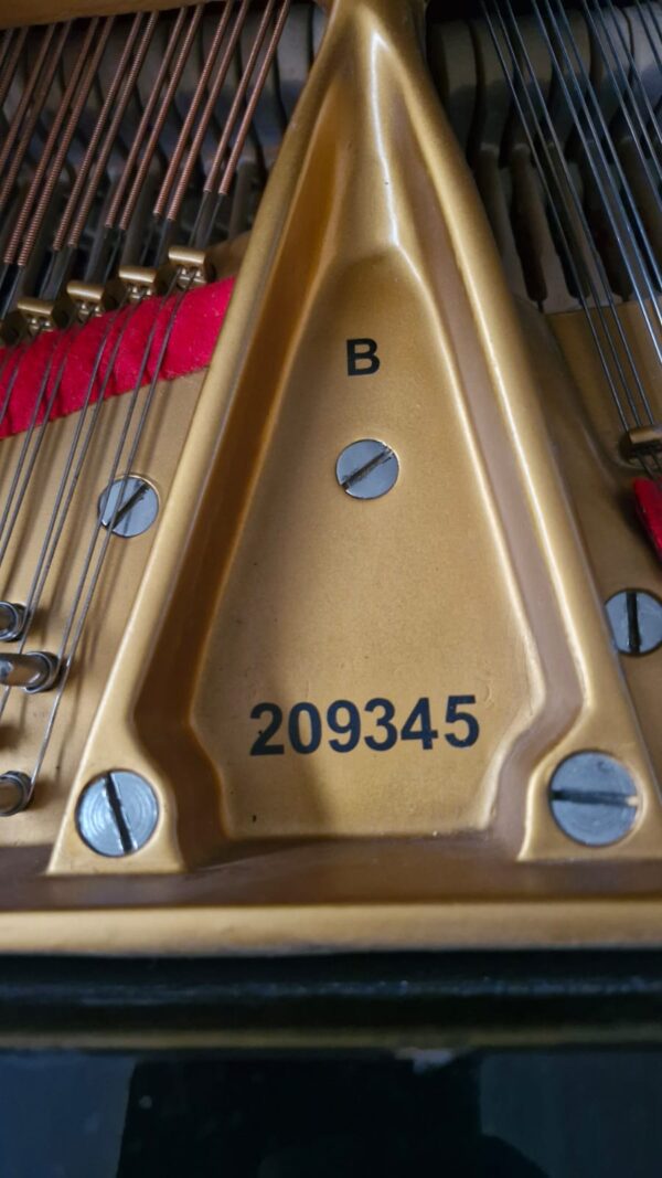 #209345 Piano de Cola STEINWAY & SONS Modelo B, Lujo y Elegancia. - Imagen 13
