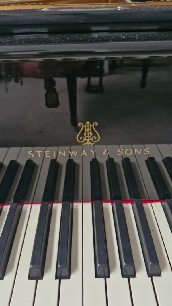 #209345 Piano de Cola STEINWAY & SONS Modelo B, Lujo y Elegancia. - Imagen 14