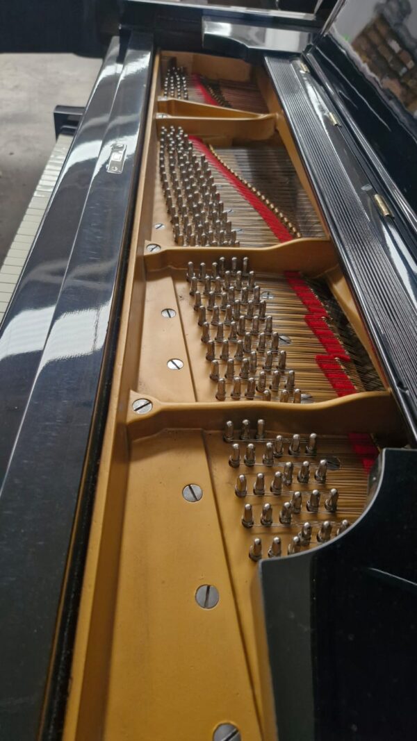 #209345 Piano de Cola STEINWAY & SONS Modelo B, Lujo y Elegancia. - Imagen 15