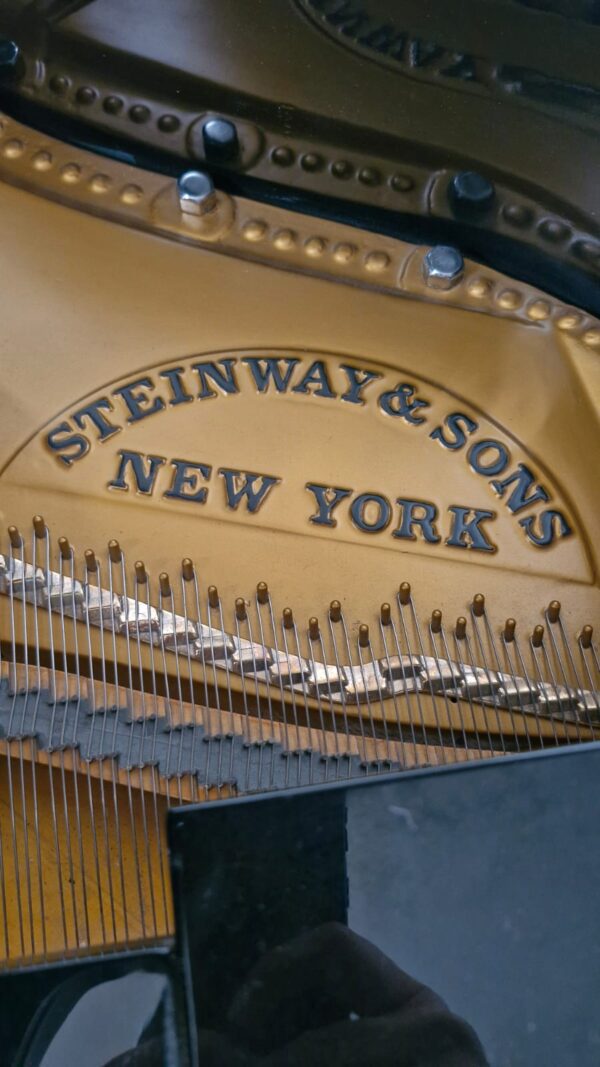 #209345 Piano de Cola STEINWAY & SONS Modelo B, Lujo y Elegancia. - Imagen 16