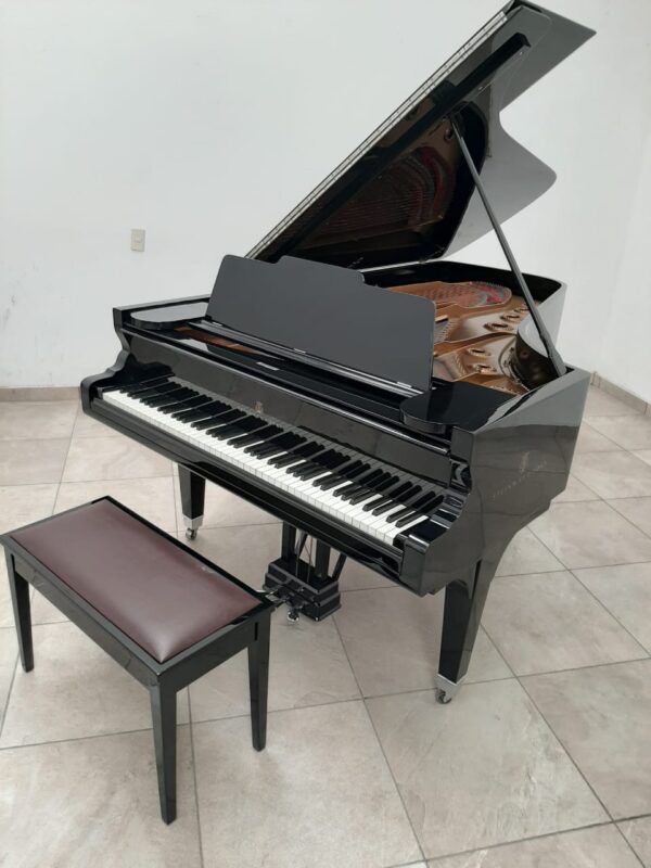 Piano Steinway Sons De Cola de Cola - imagen 20