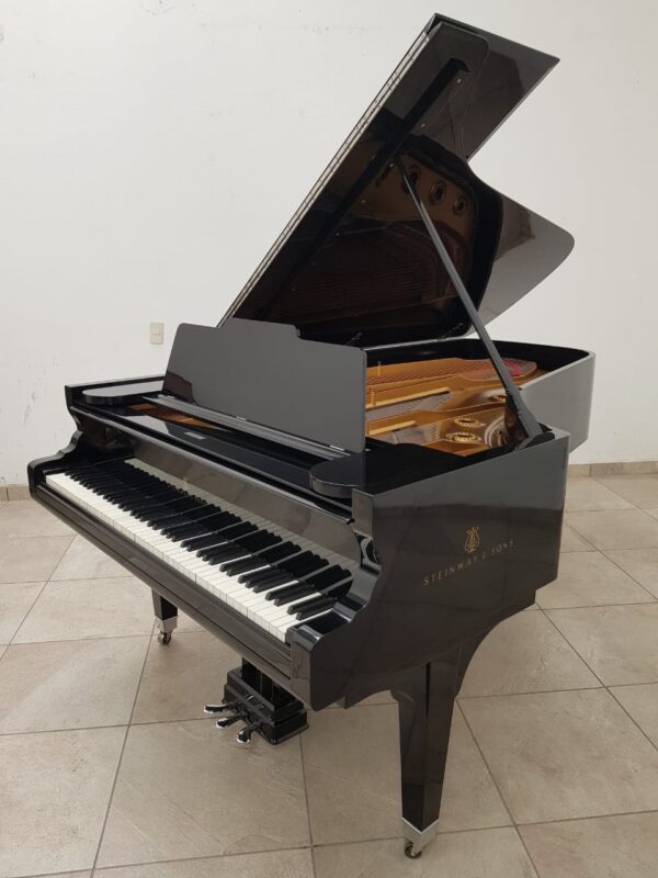 Piano Steinway Sons De Cola de Cola - imagen 17