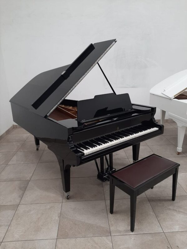 Piano Steinway Sons De Cola de Cola - imagen 15
