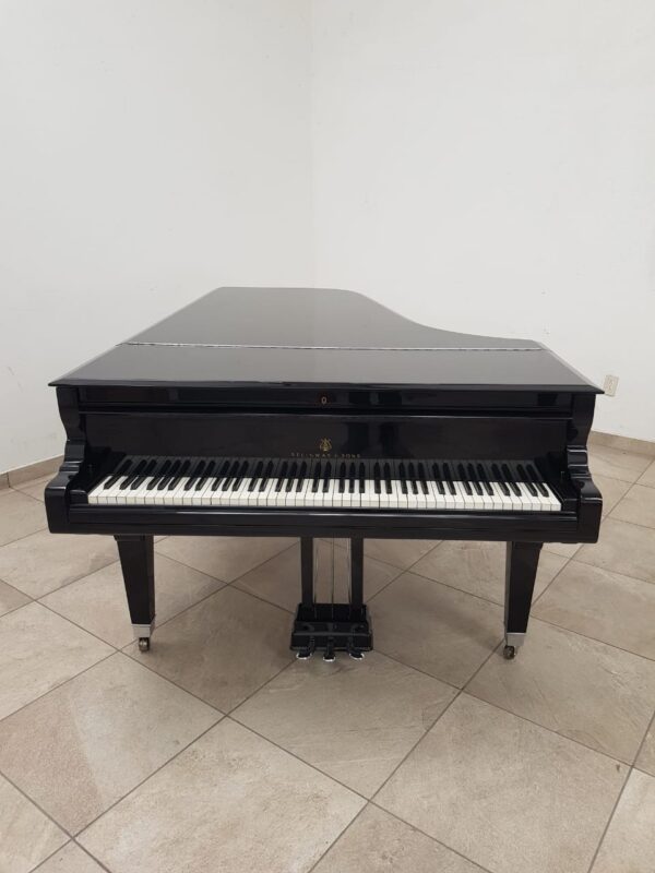 Piano Steinway Sons De Cola de Cola - imagen 11