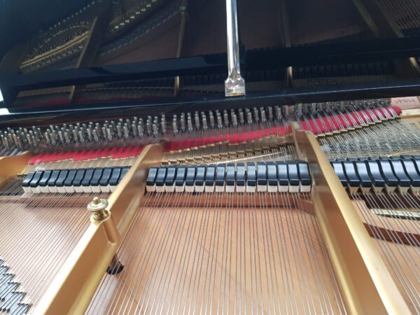Piano Steinway Sons De Cola de Cola - imagen 6