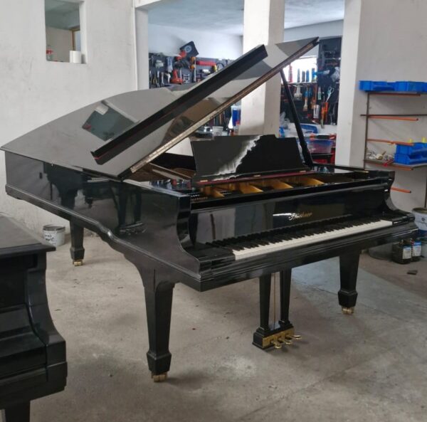 Piano de Cola Blüthner D Aliquot – Maquinaria Renner, 2.75m, envío a todo México - Imagen 2