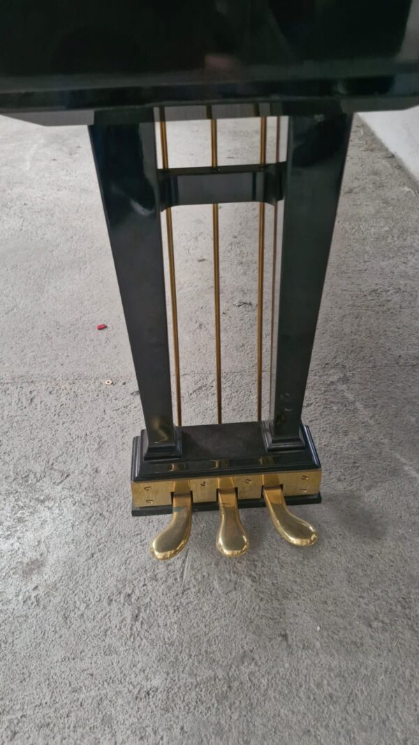 Piano de Cola Blüthner D Aliquot – Maquinaria Renner, 2.75m, envío a todo México - Imagen 17