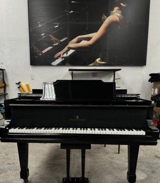 Piano de Media Cola Steinway & Sons Modelo M - vista interior