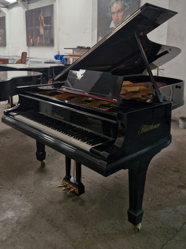 Piano de Cola Blüthner D Aliquot – Maquinaria Renner, 2.75m, envío a todo México - Imagen 4