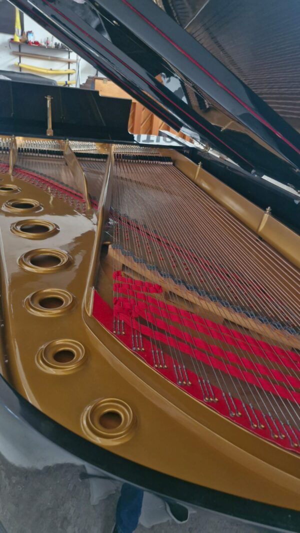 Piano de Cola Blüthner D Aliquot – Maquinaria Renner, 2.75m, envío a todo México - Imagen 10