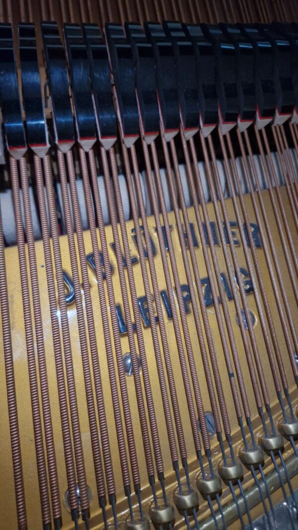 Piano de Cola Blüthner D Aliquot – Maquinaria Renner, 2.75m, envío a todo México - Imagen 11