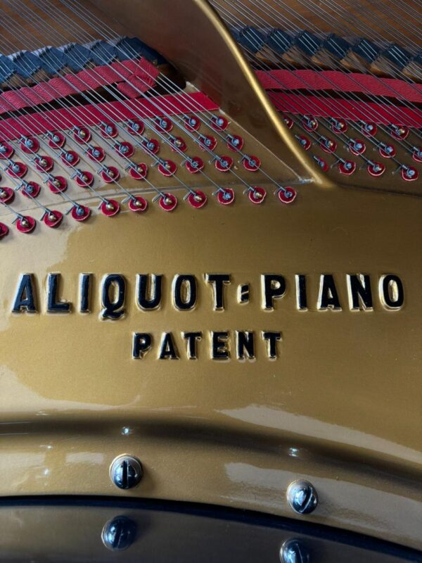 Piano Bluthner De Cola de Cola - imagen 7