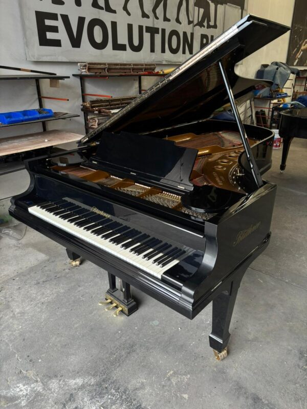 Piano Bluthner De Cola - detalle del teclado