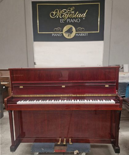 Piano Niemeyer D9091 - detalle del teclado