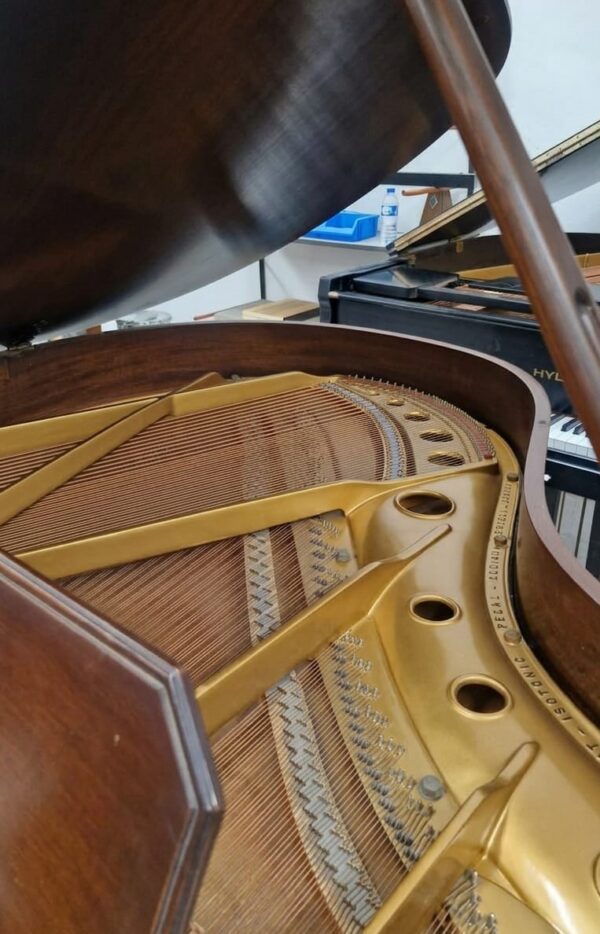 Piano Kranich Bach 1/4 de Cola - imagen 4