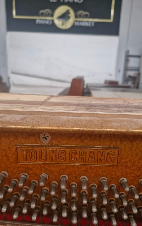 Piano Young Chang U-121 Vertical - imagen 8