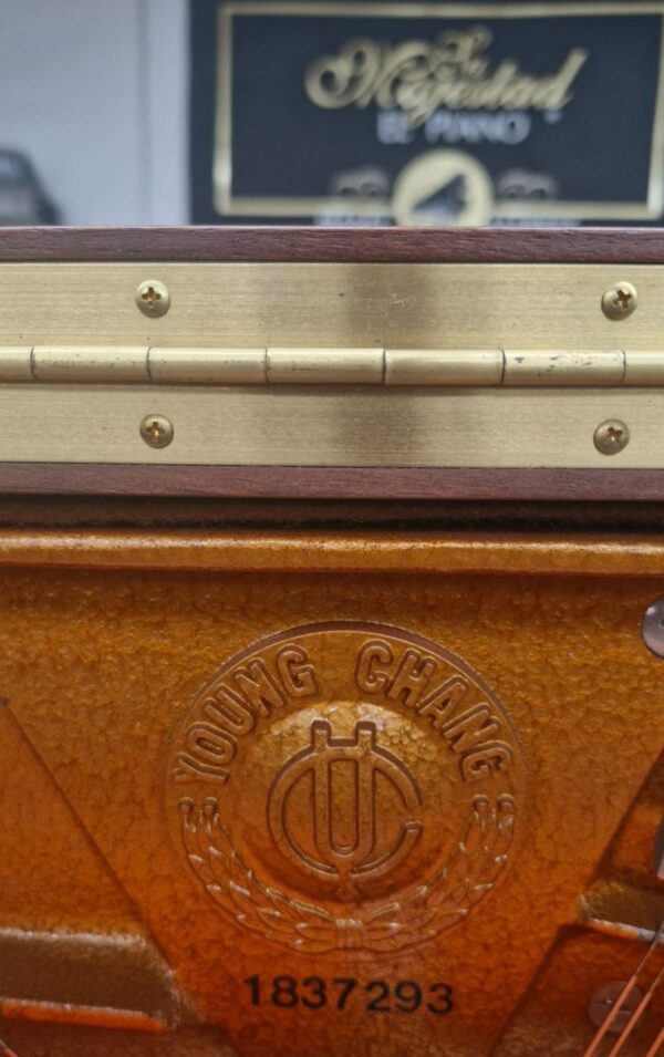 Piano Young Chang U-121 Vertical - imagen 8