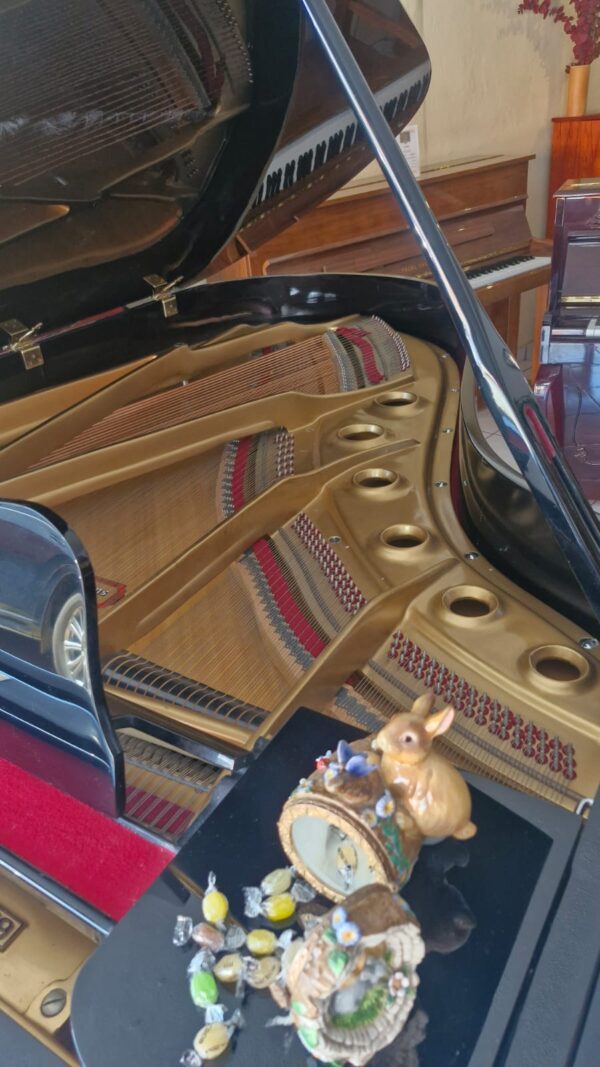 Piano Schafer Sons Ss-69 de Cola - imagen 7