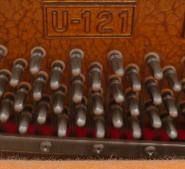 Piano Young Chang U-121 Vertical - imagen 7
