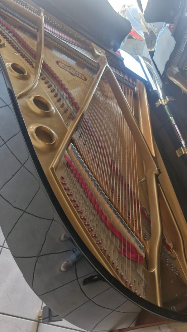 Piano Schafer Sons Ss-69 de Cola - imagen 8