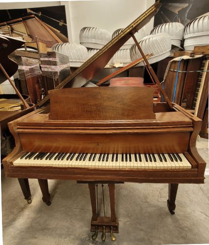 Piano Shomer - vista lateral