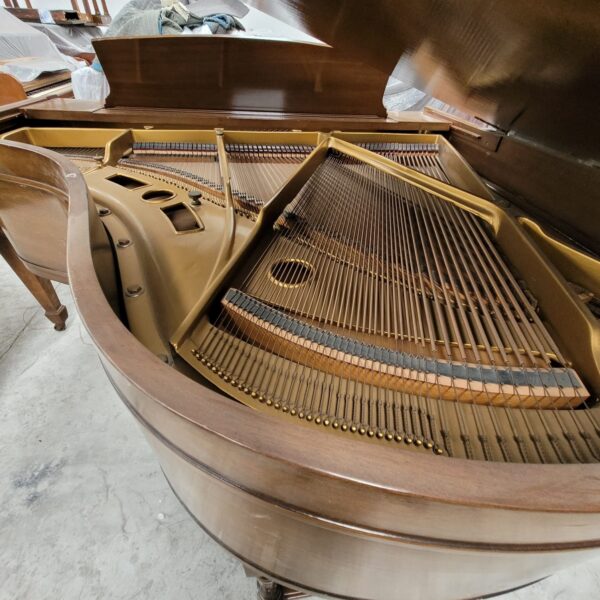 Piano Harrington 1/4 de Cola - imagen 8
