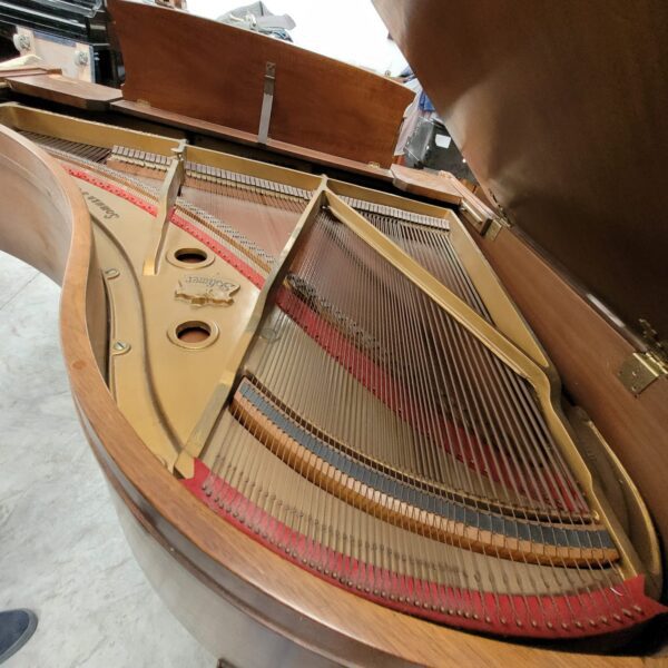 Piano Shomer 1/4 de Cola - imagen 6