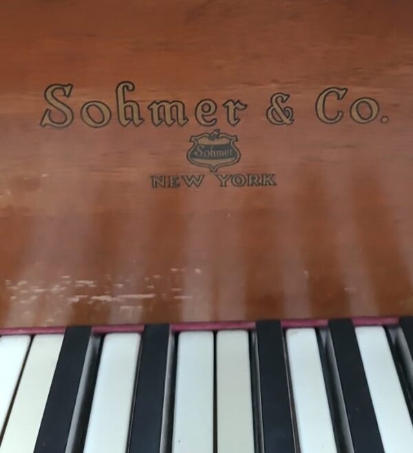 Piano Shomer - mecanica interior