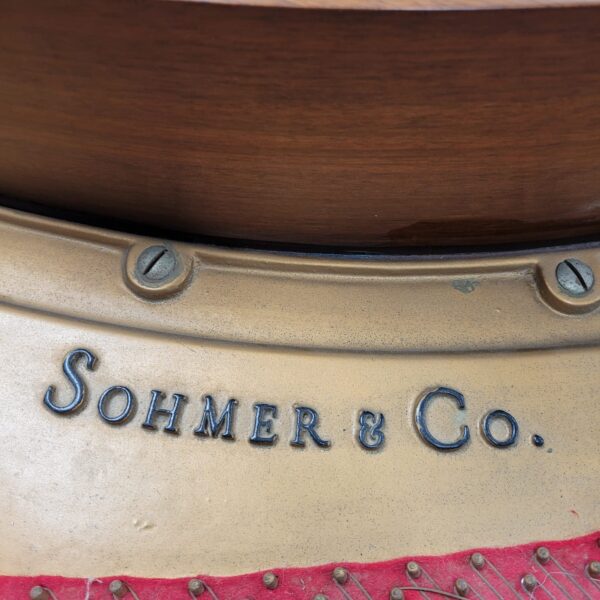 Piano Shomer 1/4 de Cola - imagen 7