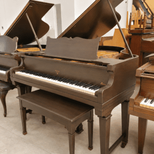 Piano Fischer - vista lateral