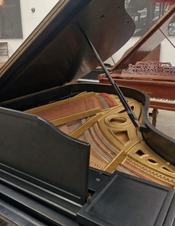 Piano Story Clark Media Cola - imagen 5