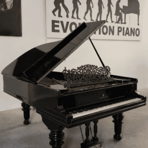 Piano de Cola Steinway & Sons Modelo B negro - vista interior