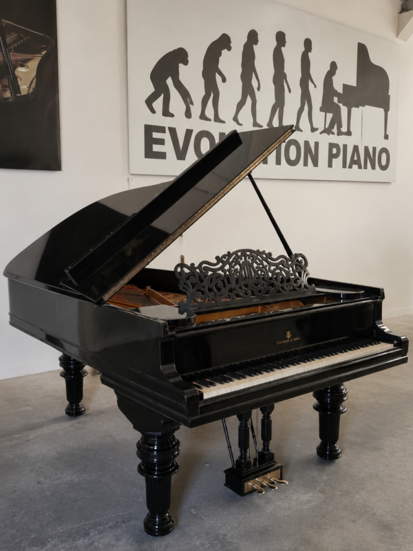 Piano de Cola Steinway & Sons Modelo B negro - vista interior
