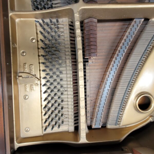 Piano Brambach 1/4 de Cola - imagen 11