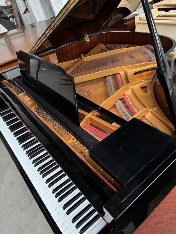 Piano de Cola Tokai G-150 negro brillante - detalle del teclado