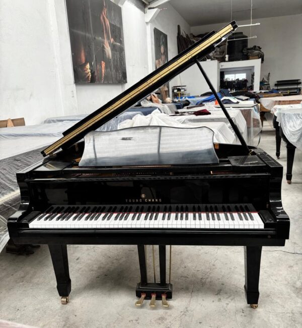 #G24928 Hermoso Piano YOUNG CHANG G-150 Negro Brillante. - Imagen 8