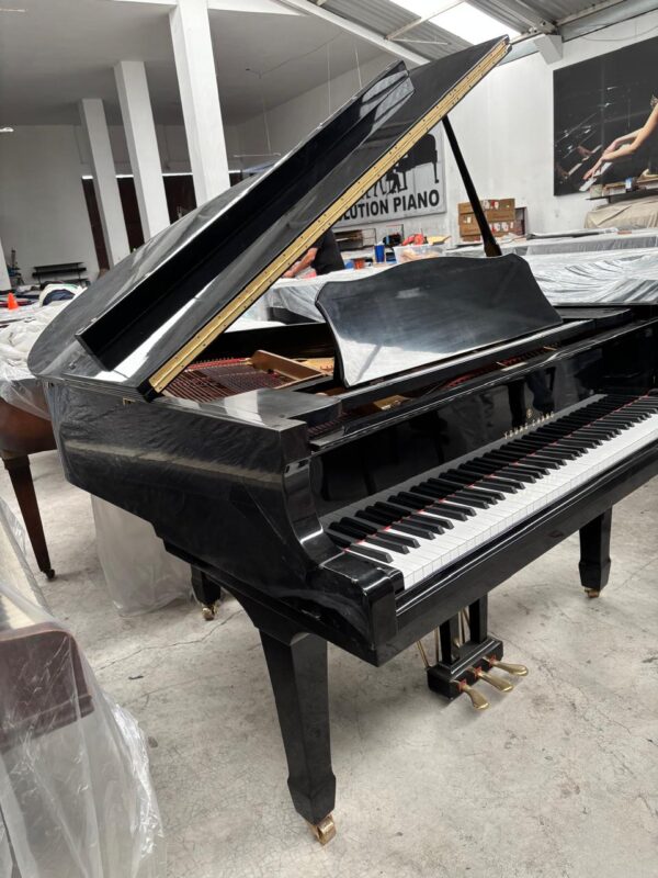 #G24928 Hermoso Piano YOUNG CHANG G-150 Negro Brillante. - Imagen 7