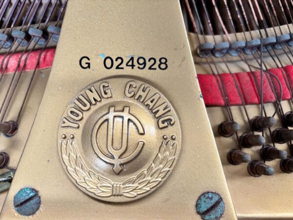 #G24928 Hermoso Piano YOUNG CHANG G-150 Negro Brillante. - Imagen 5