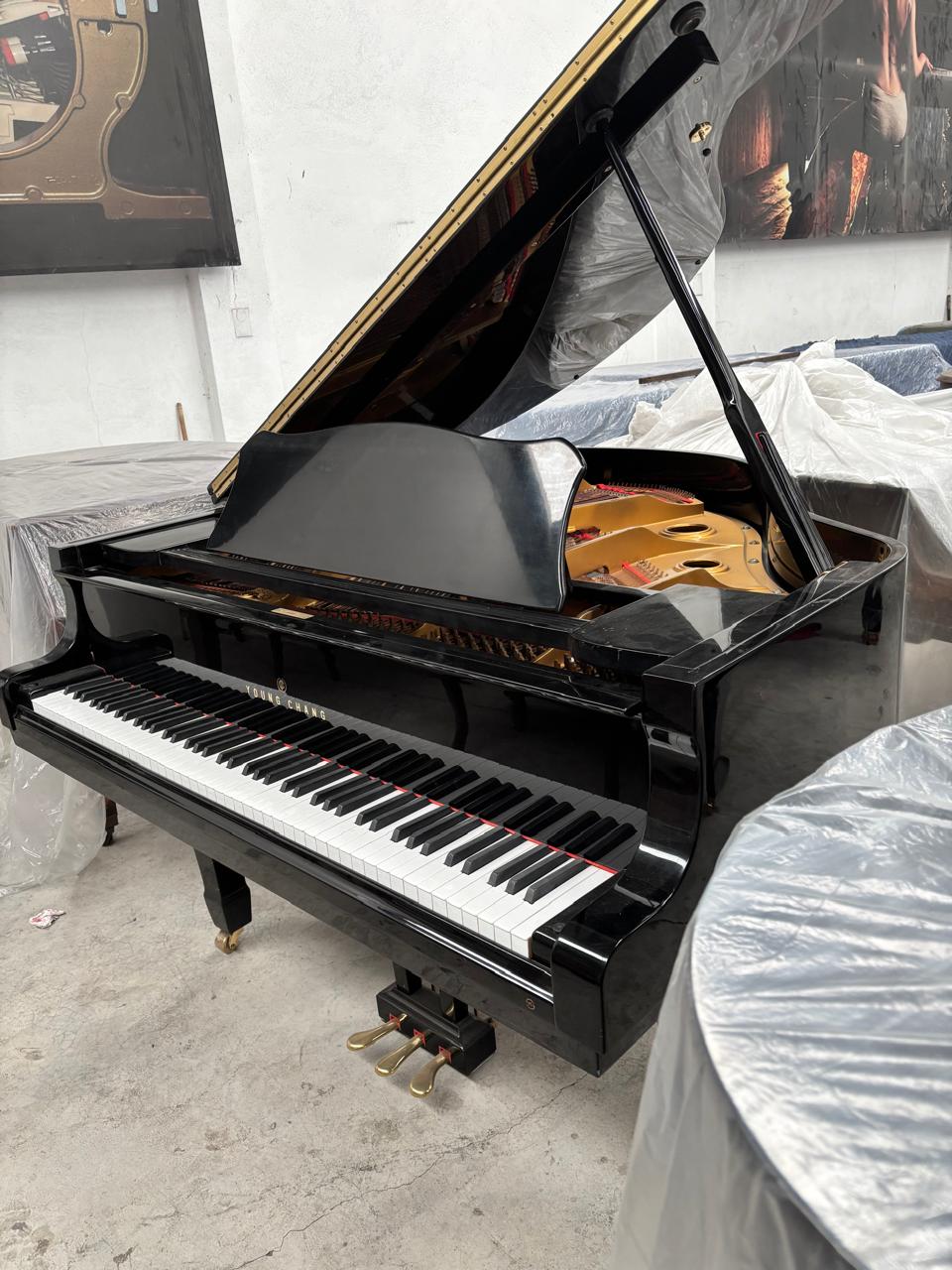 Piano Young Chang G-150 negro brillante de cola en venta
